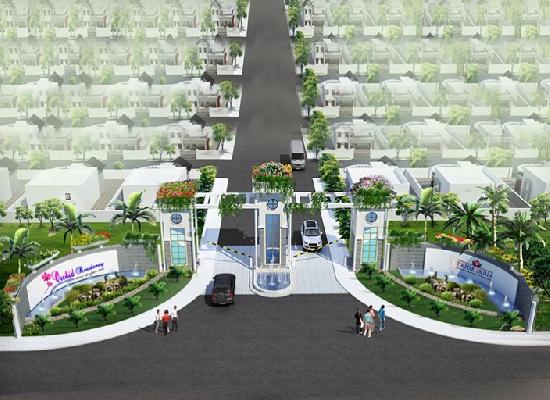 Orchid Residency Project